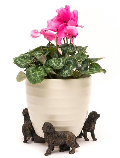 Bernese Mountain Dog Plant Pot Feet - Set of 3