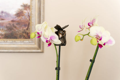 Butterfly Potty Feet and Cane Companion Bundle Set