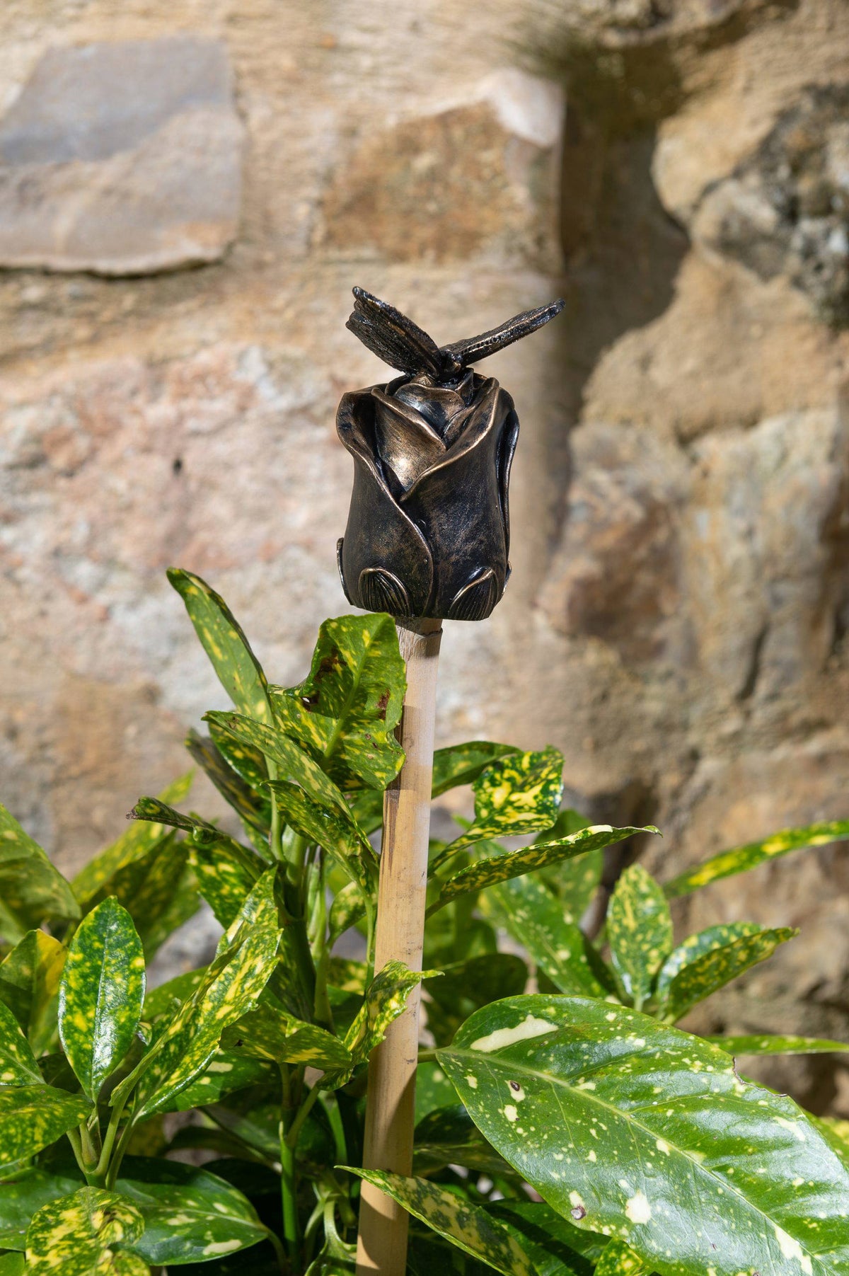 Butterfly Potty Feet and Cane Companion Bundle Set