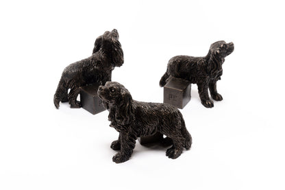 Cavalier King Charles Potty Feet and Pot Buddy