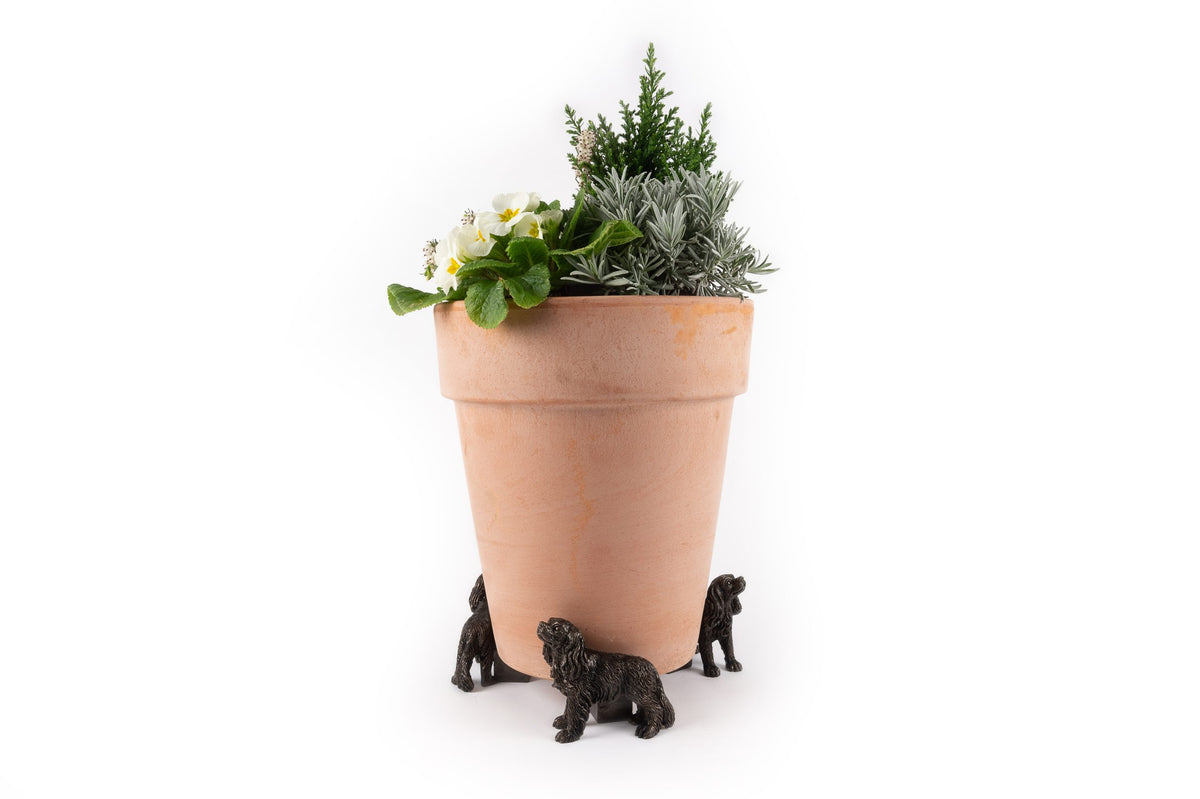 Cavalier King Charles Potty Feet and Pot Buddy