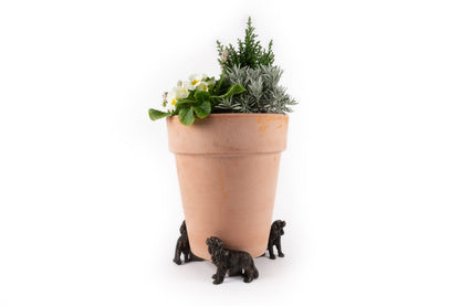 Cavalier King Charles Potty Feet and Pot Buddy