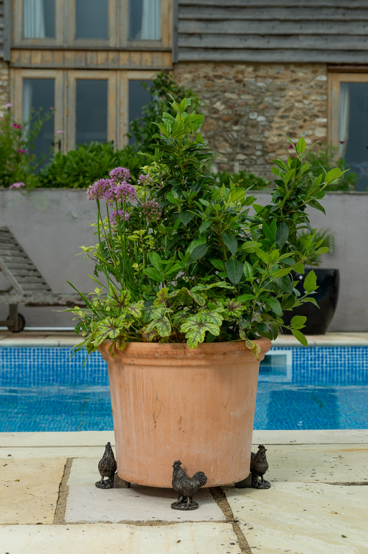 Chicken Plant Pot Feet - Set of 3