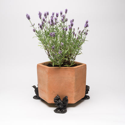 Chicken Plant Pot Feet - Set of 3