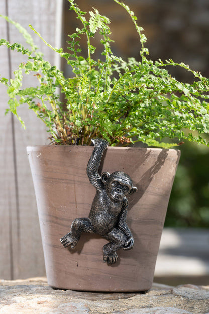 Chimpanzee Potty Feet and Pot Buddy