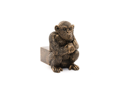 Chimpanzee Potty Feet and Pot Buddy