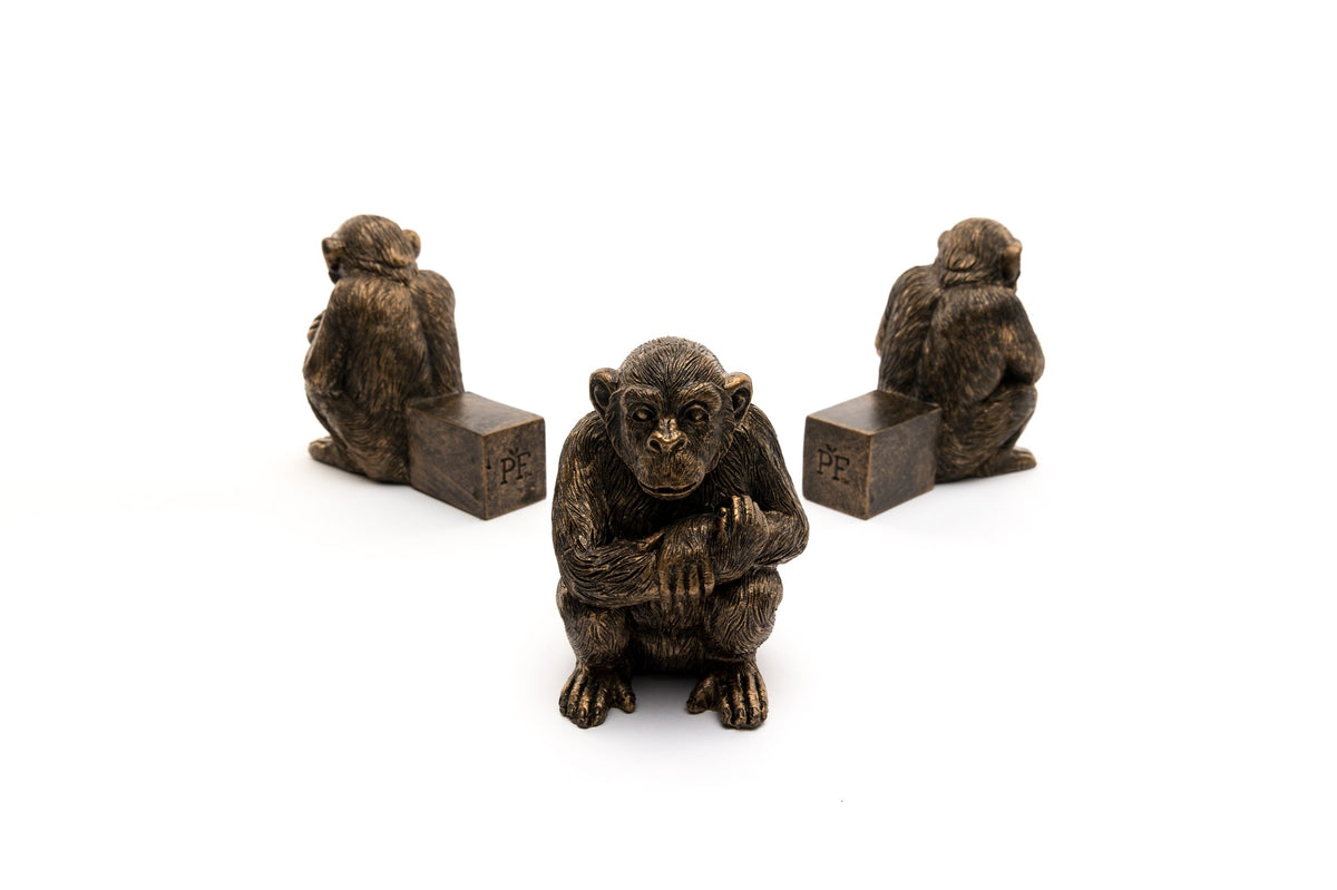 Chimpanzee Potty Feet and Pot Buddy