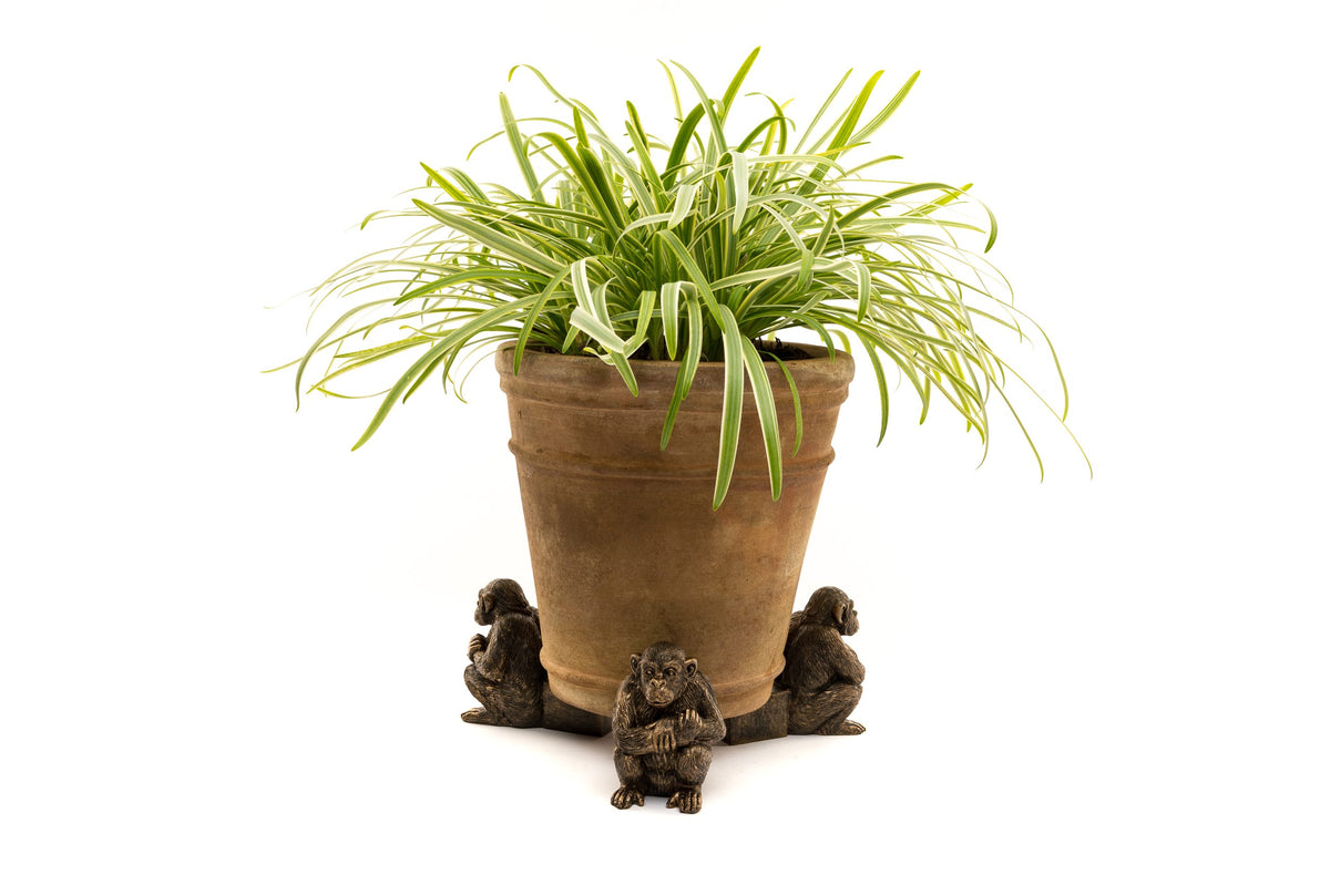 Chimpanzee Potty Feet and Pot Buddy
