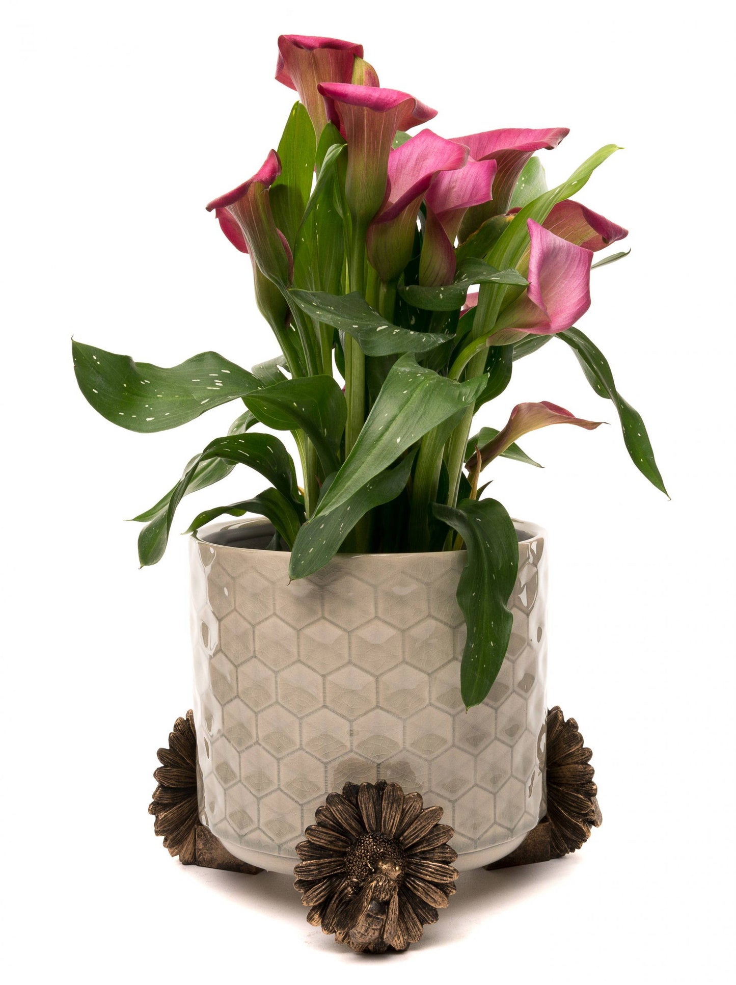 Bee Plant Pot Feet - Set of 3