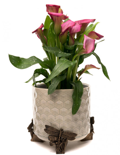 Dragonfly Plant Pot Feet - Set of 3
