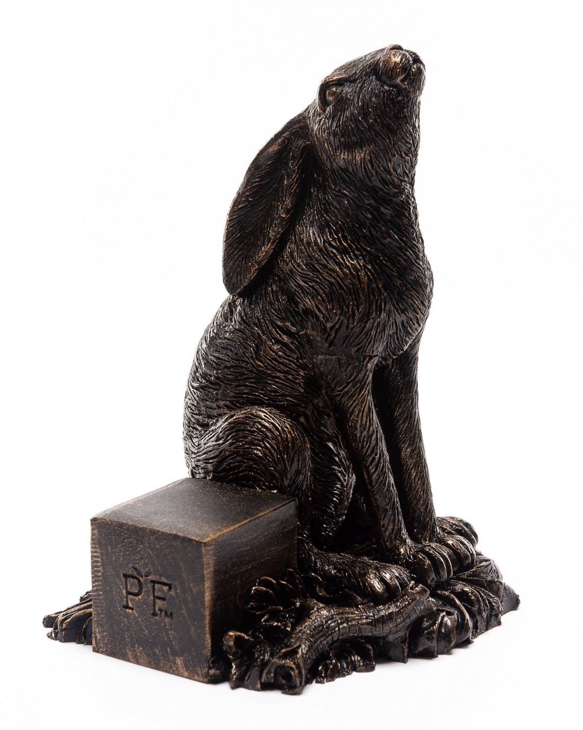 Moon Gazing Hare Potty Feet and Cane Companion Bundle Set