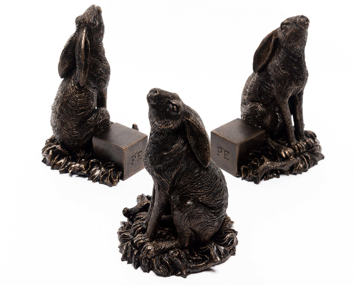 Moon Gazing Hare Potty Feet and Cane Companion Bundle Set