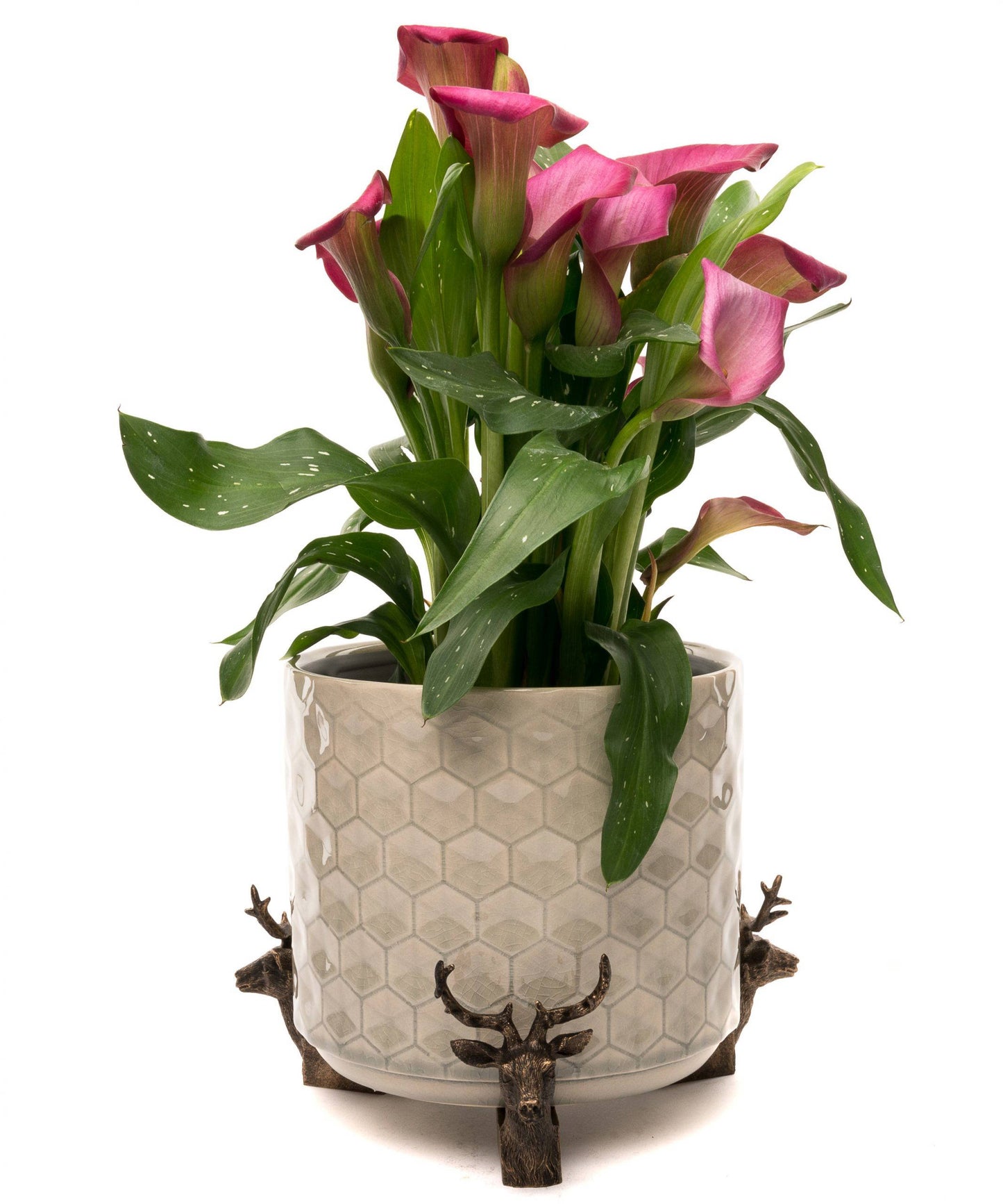 Stag Plant Pot Feet - Set of 3
