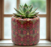 Enamel & Iron Cacti or Succulent Pot Cover - 6cm Purple