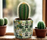 6CM Enamel & Iron Cacti or Succulent Pot Cover - Green