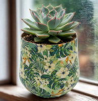 6CM Enamel & Iron Cacti or Succulent Pot Cover - Green