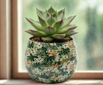 6CM Enamel & Iron Cacti or Succulent Pot Cover - Green