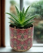 6CM Enamel & Iron Cacti or Succulent Pot Cover - Purple
