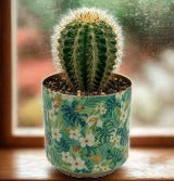 6CM Enamel & Iron Cacti or Succulent Pot Cover - Green