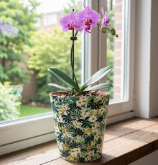 12cm Enamel & Iron Orchid Pot Cover - Green