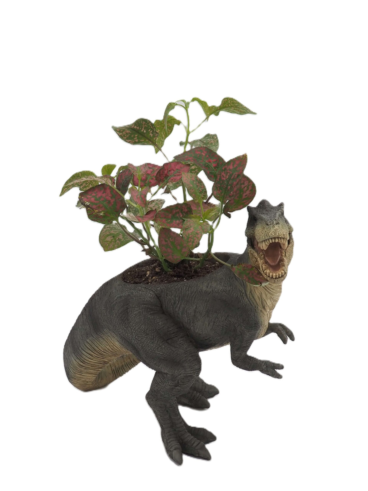T-Rex Dinosaur Planter