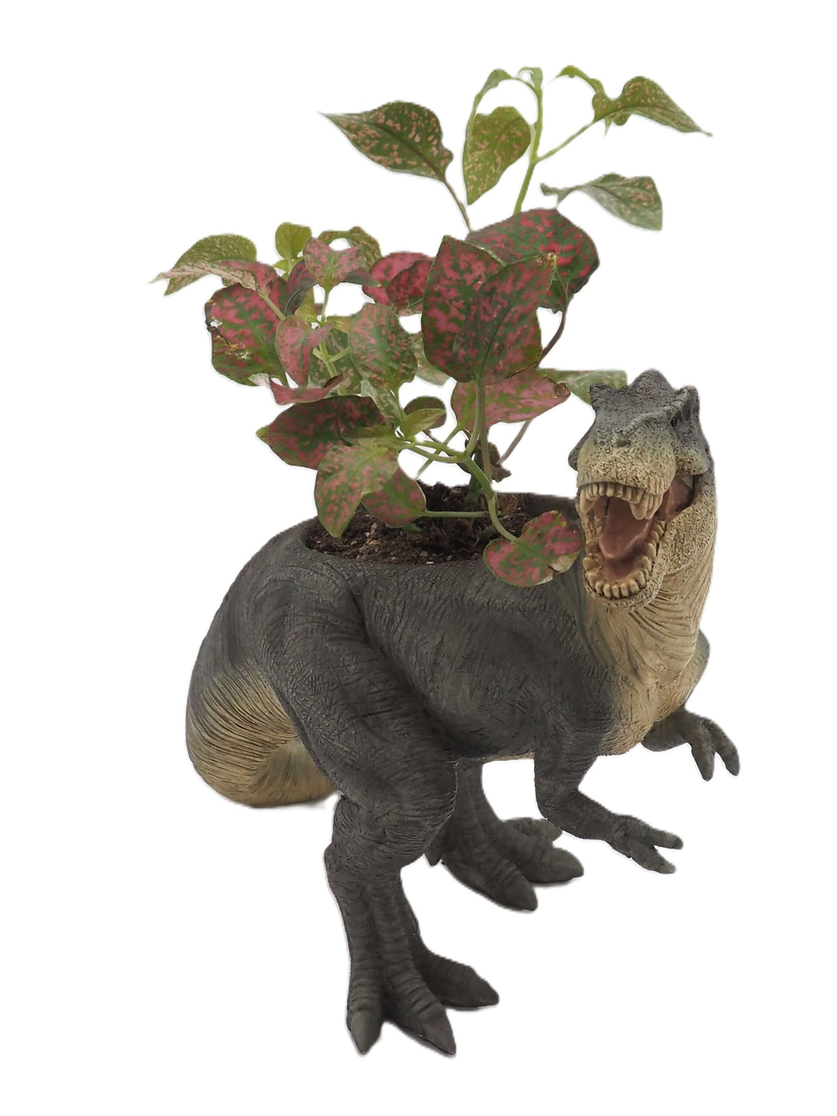 T-Rex Dinosaur Planter