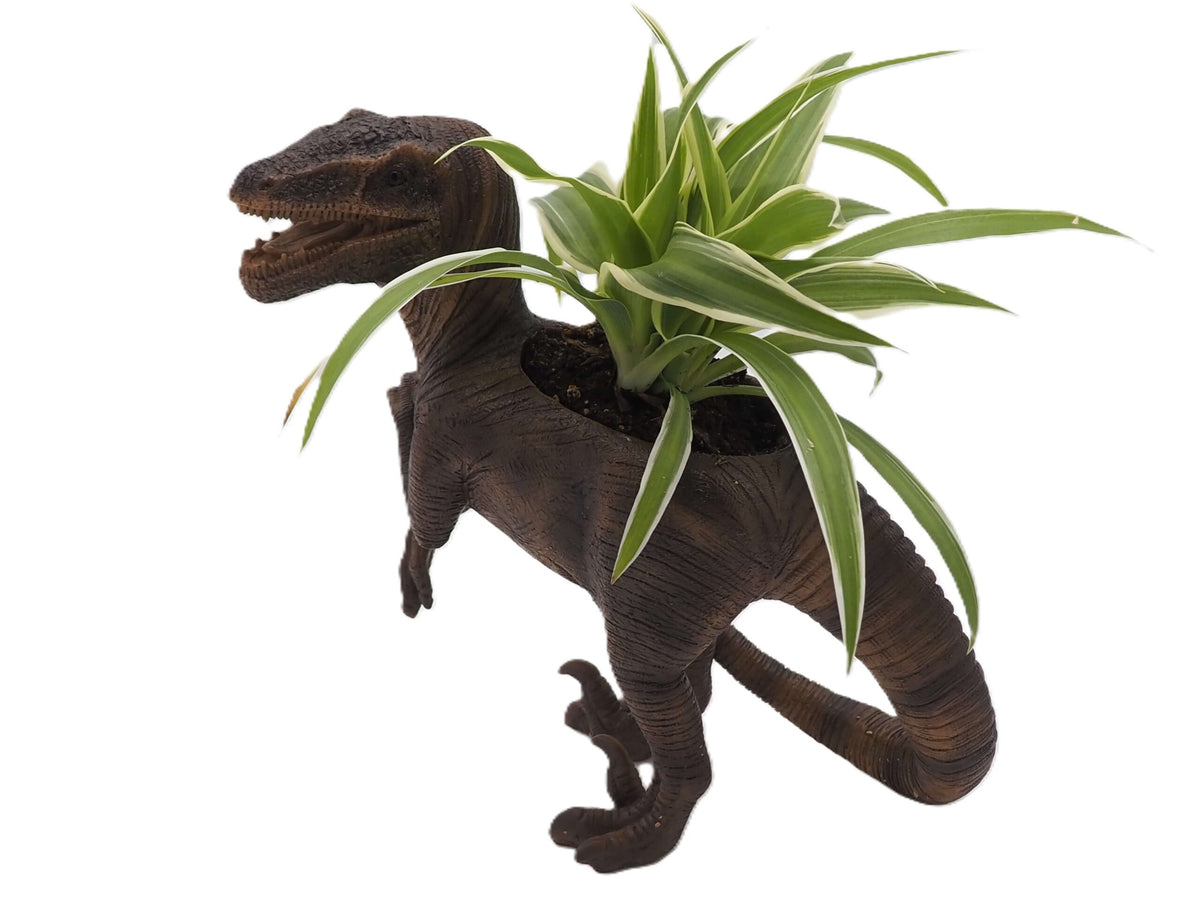 Velociraptor Dinosaur Planter