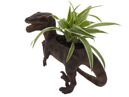Velociraptor Dinosaur Planter
