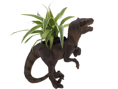 Velociraptor Dinosaur Planter