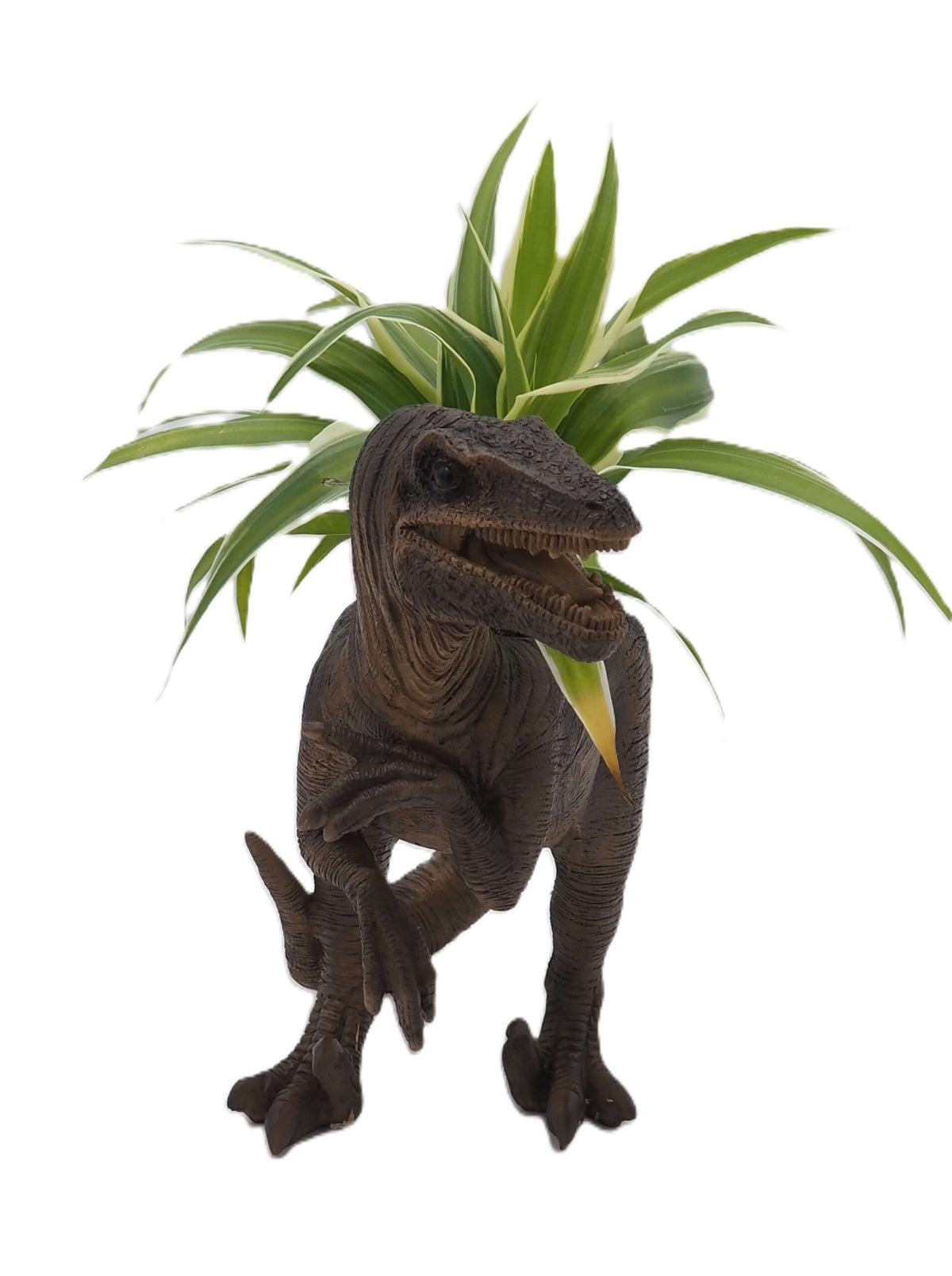 Velociraptor Dinosaur Planter