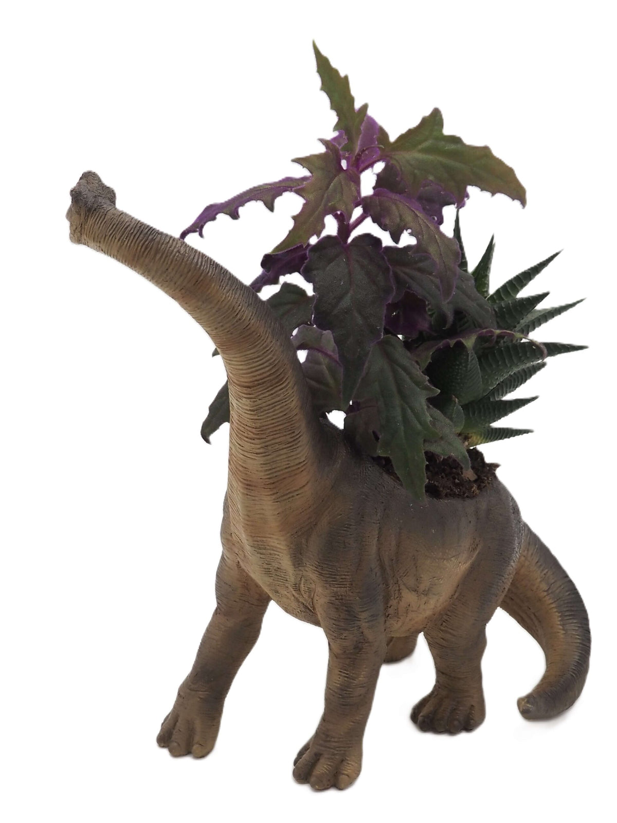 Brachiosaurus Dinosaur Planter