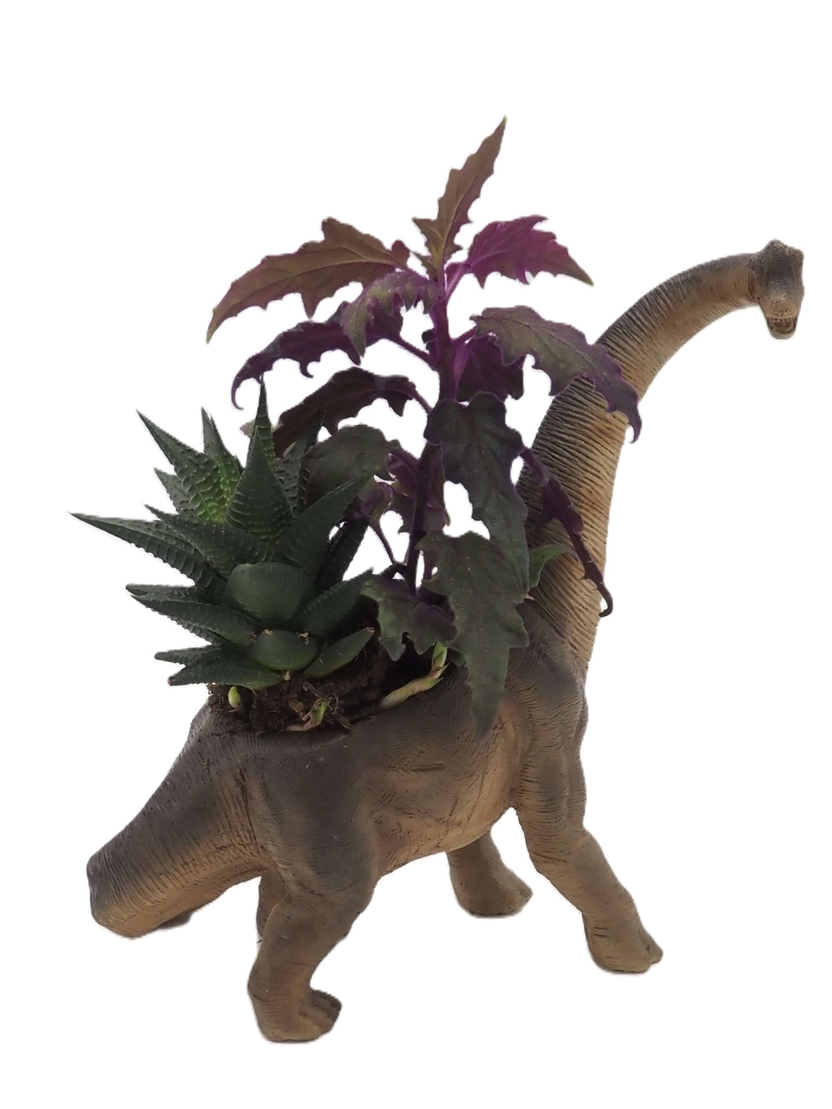 Brachiosaurus Dinosaur Planter