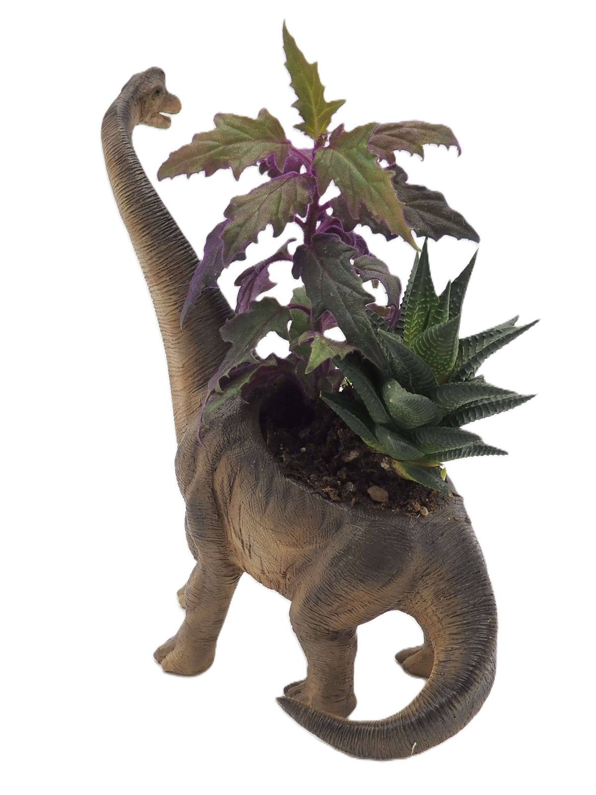 Brachiosaurus Dinosaur Planter