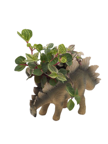 Stegosaurus Dinosaur Planter