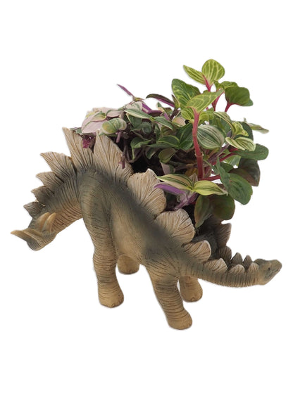 Stegosaurus Dinosaur Planter
