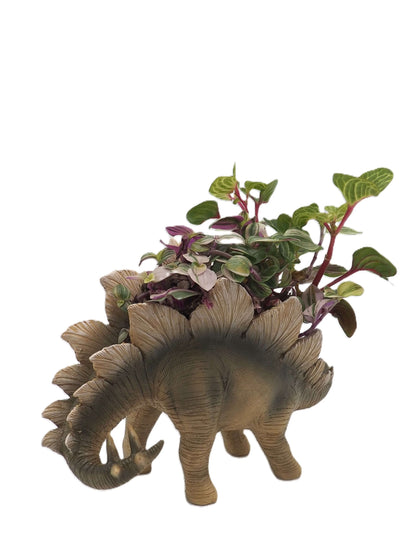 Stegosaurus Dinosaur Planter