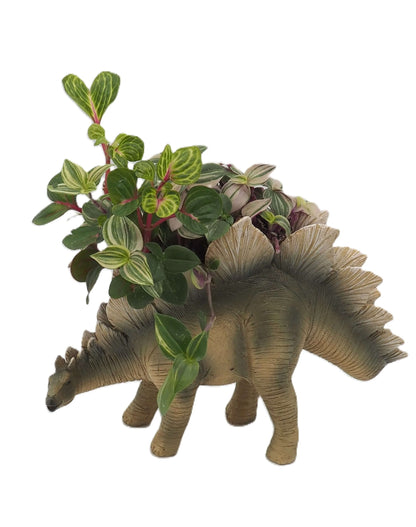 Stegosaurus Dinosaur Planter