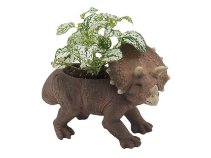 Triceratops Dinosaur Planter