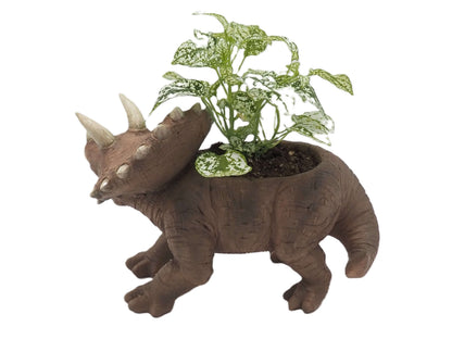 Triceratops Dinosaur Planter