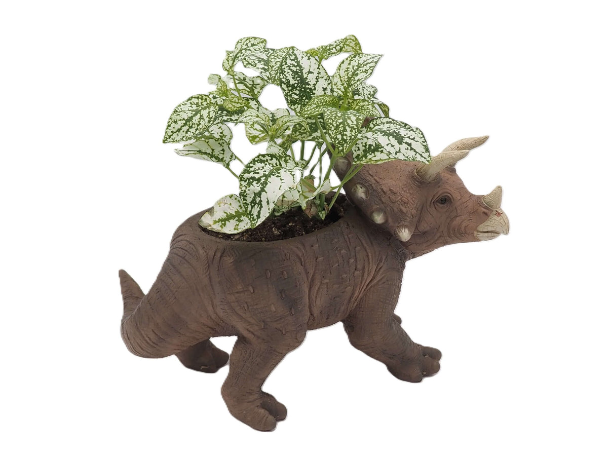 Triceratops Dinosaur Planter