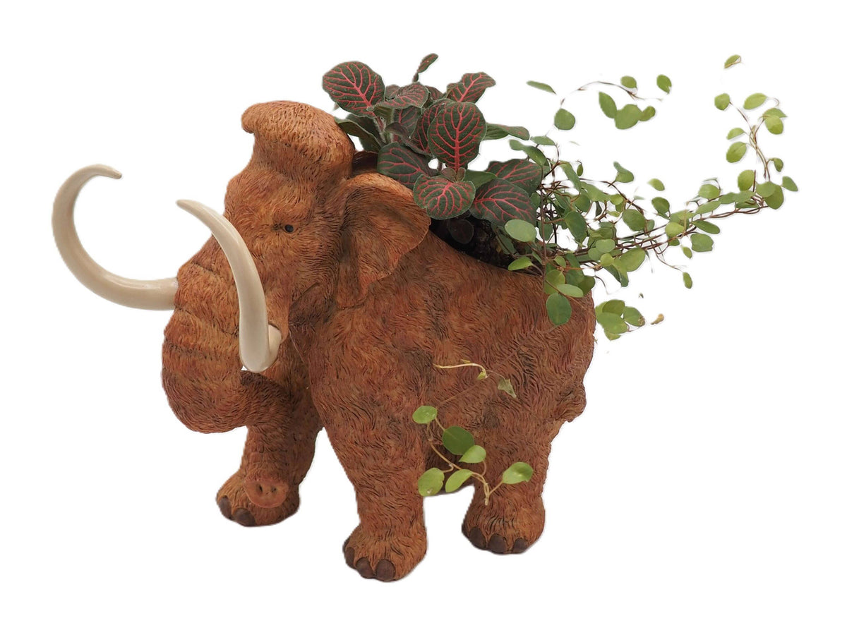 Wooly Mammoth Planter