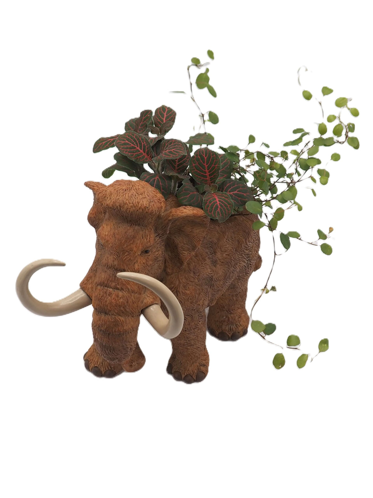 Wooly Mammoth Planter
