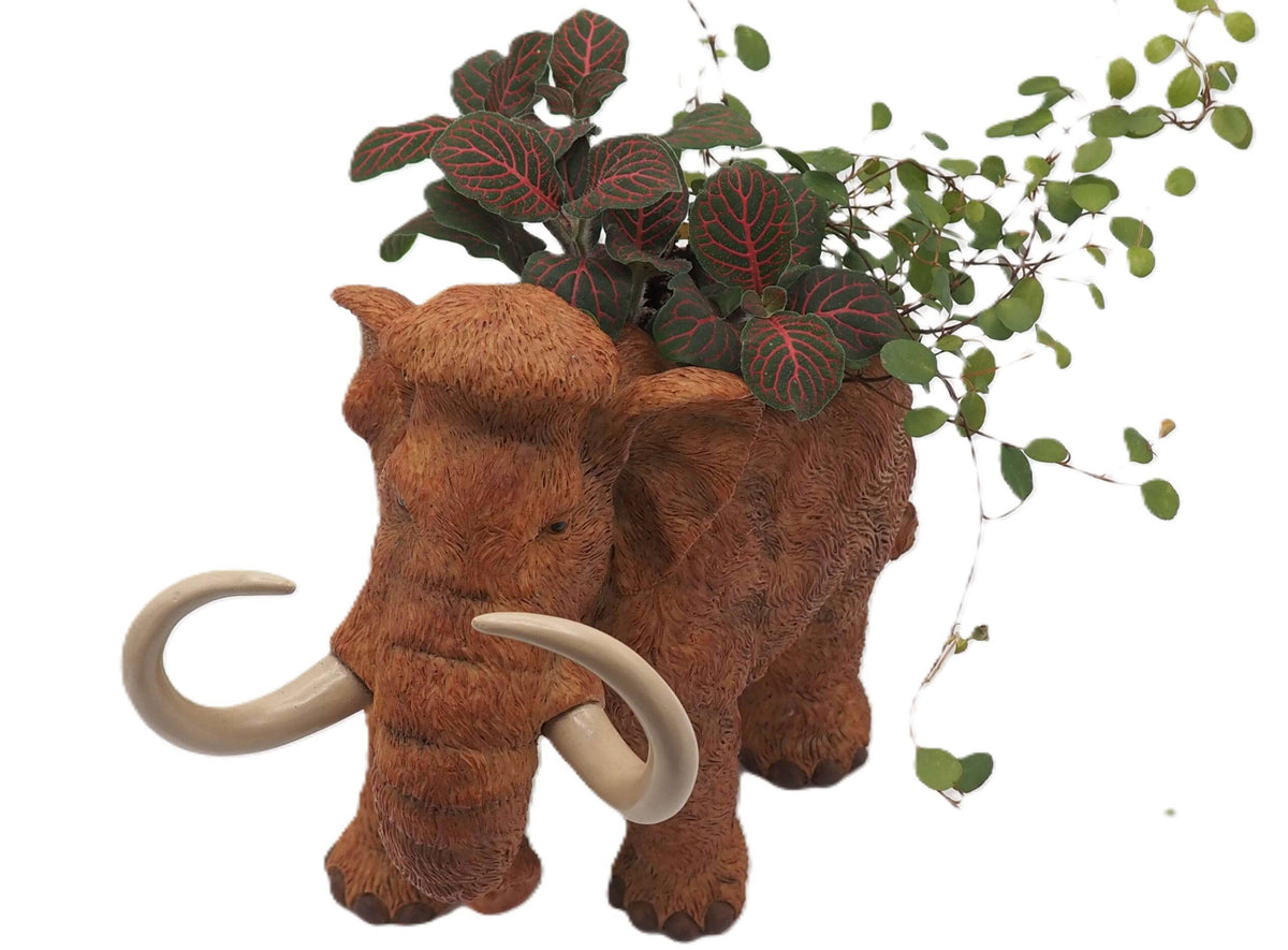 Wooly Mammoth Planter