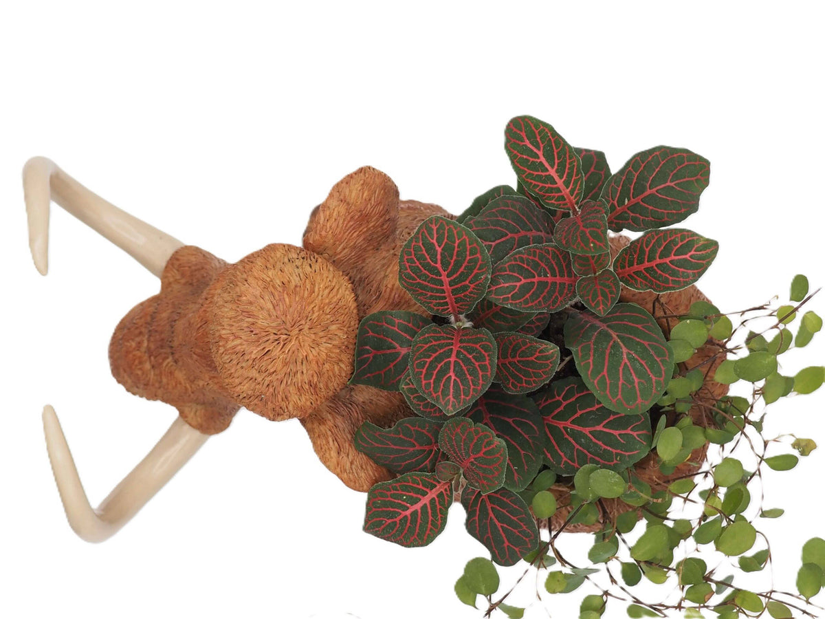 Wooly Mammoth Planter
