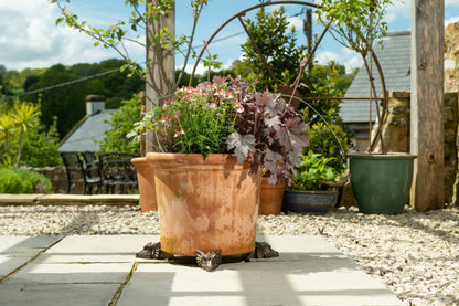 Dragon Plant Pot Feet - Set of 3
