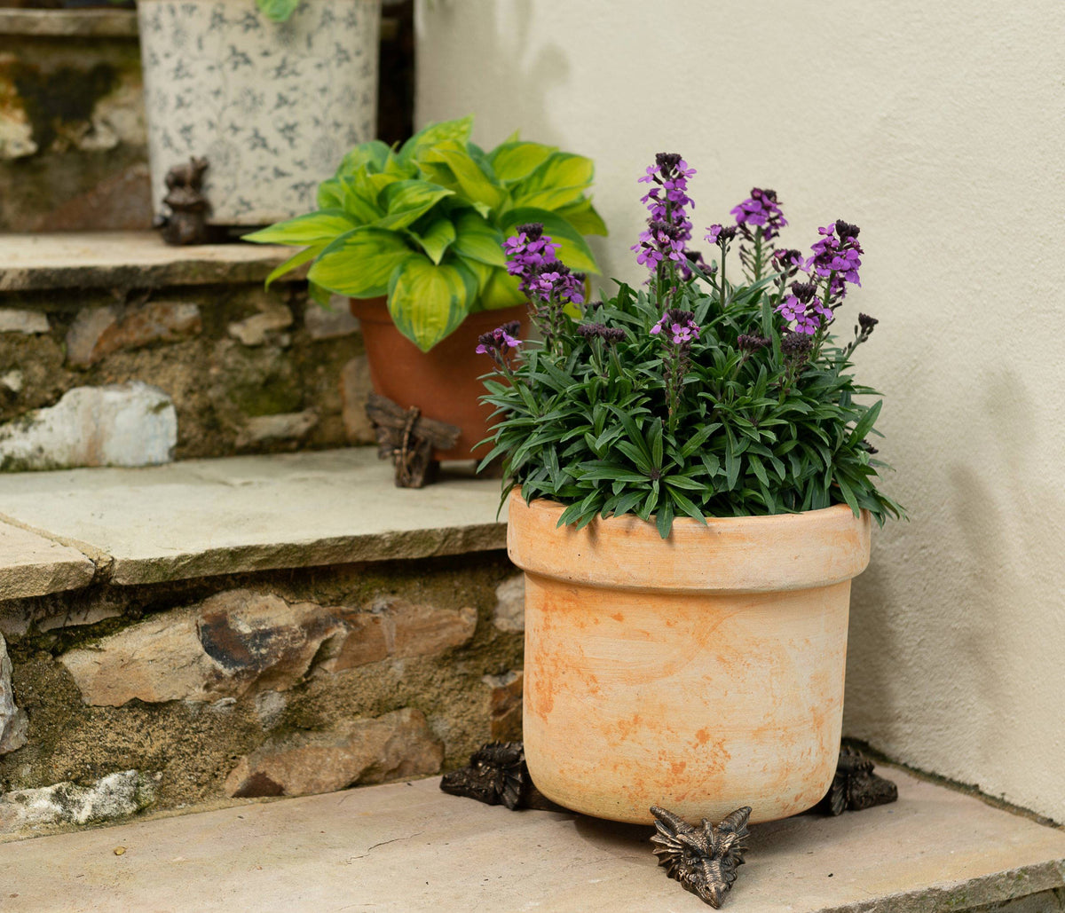 Dragon Plant Pot Feet - Set of 3