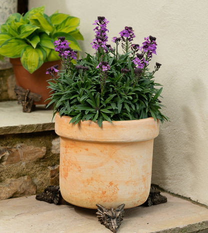 Dragon Plant Pot Feet - Set of 3