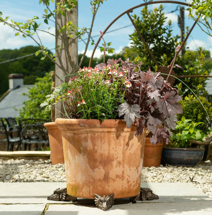 Dragon Plant Pot Feet - Set of 3