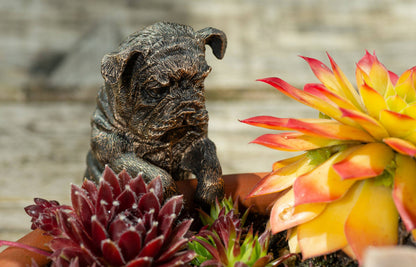 English Bulldog Plant Pot Hanger