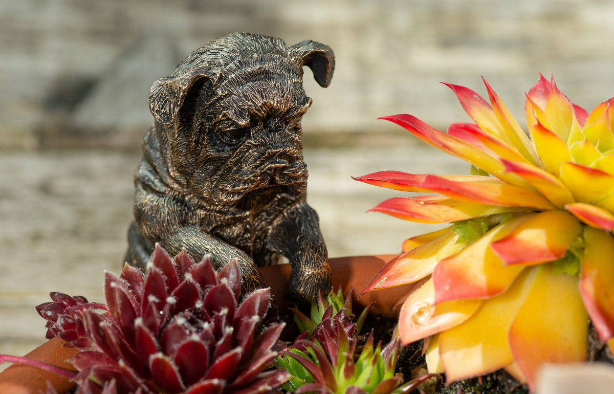 British Bulldog Potty Feet & Pot Buddy